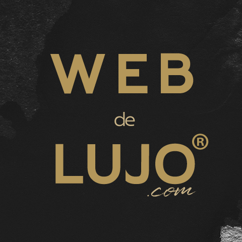 WEBdeLUJO ® logo